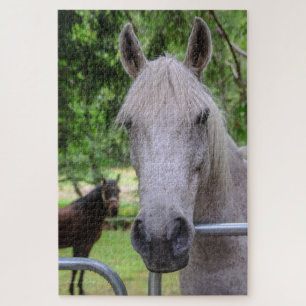 Paardenpuzzel Legpuzzel
