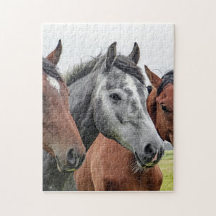 Paardenpuzzel Legpuzzel