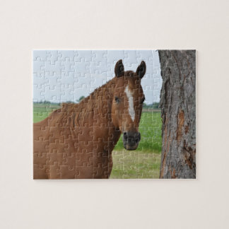Paardenpuzzel Legpuzzel