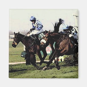 paardenraces magneet