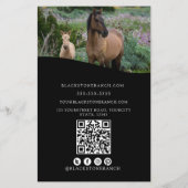 Paardenranch logo equestrian brandingadres flyer (Achterkant)