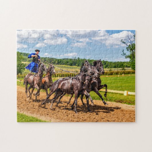 paardenras legpuzzel (Horizontaal)