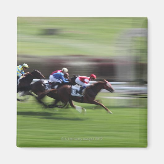 paardenras magneet (Voorkant)