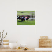 paardenras poster (Keuken)