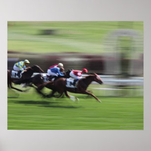 paardenras poster