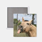 paardenrazzberry magnet magneet (Voorkant / Achterkant)