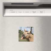 paardenrazzberry magnet magneet (Insitu (Vaatwasser))