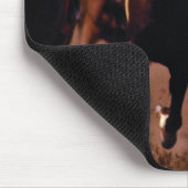 Paardenrennen Muismat (Hoek)