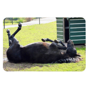 Paardenrollende Flexibele Magneet