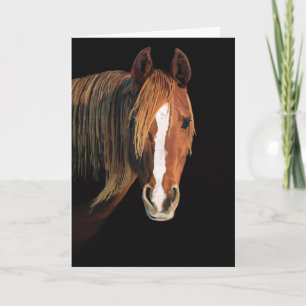 Paardenschilderij kaart