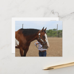 Paardenshow Presenteren Bay Paint Briefkaart