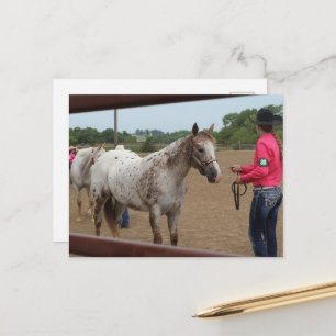 Paardenshow Showmanship Spotted Pony of America Briefkaart