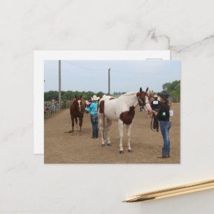 Paardenshow Verzorging Paints en Quarter Horses Briefkaart