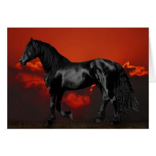 Paardensilhouet bij zonsondergang