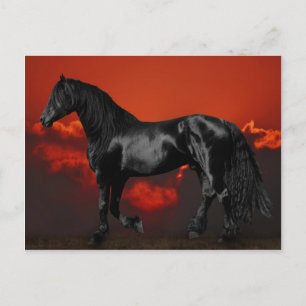 Paardensilhouet bij zonsondergang briefkaart