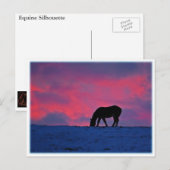 Paardensilhouet Briefkaart (Voorkant / Achterkant)