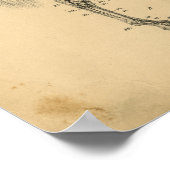 Paardenskelet Anatomy 1908  afdrukken Poster (Hoek)