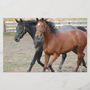 Paardenspel Briefpapier