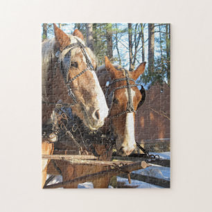 Paardenspel uit de winter - Thema Legpuzzel