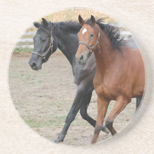 Paardenspel Zandsteen Onderzetter (Voorkant)
