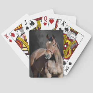 Paardenspelkaarten Pokerkaarten