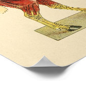 PaardenspierAnatomie Afdrukken 1917 Poster (Hoek)