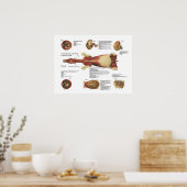 Paardenspieren Viscera Poster Anatomie (Keuken)