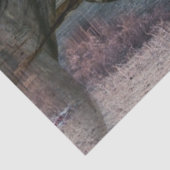 paardenstal-eau-de-vie tissuepapier (Detail)