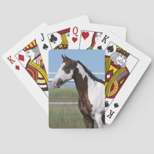 Paardenstand verven speelkaarten