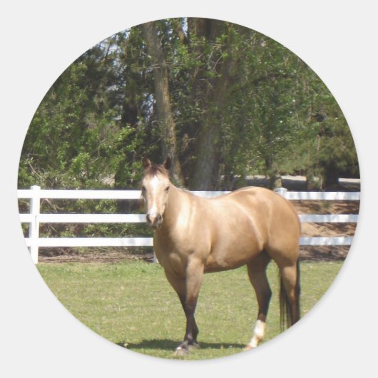 Paardenstokken Ronde Sticker (Voorkant)