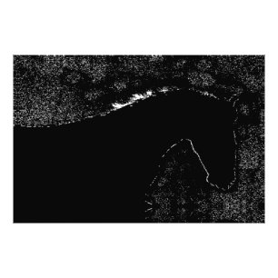 Paardensymfonie bij Nacht Foto Afdruk