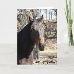 Paardensympathiekaart Kaart