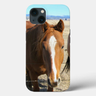 Paardentelefoongevallen iPhone 13 Hoesje