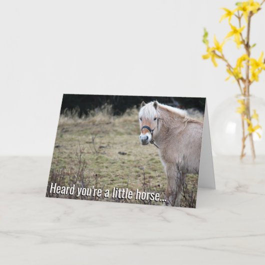 Paardentje wordt snel beter Kaart (Gele Bloem)
