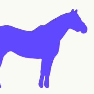 Paardentrainer Bedrijf Blauw Eenvoudig en Modern Visitekaartje