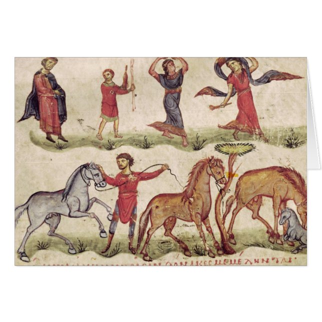 Paardentrainers (Voorkant Horizontaal)