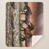 Paardentrio loopt in Ocean Surf bij zonsondergang Sherpa Deken (Voorkant)