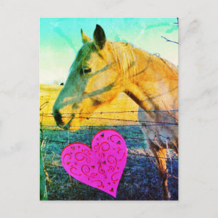Paardenvalentijn reto briefkaart