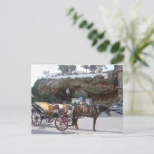Paardenvervoer in Mijas Briefkaart (Staand voorkant)