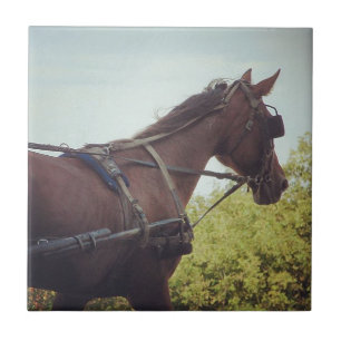 Paardenvervoer Tegeltje