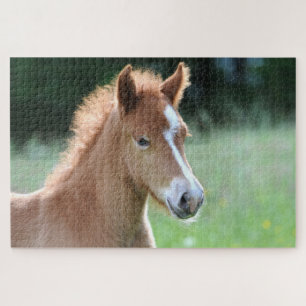 Paardenveulen Legpuzzel