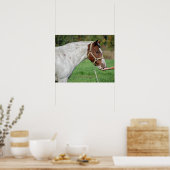 Paardenvoer Poster (Keuken)