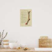  paardenvoetanatomie afdrukken poster (Keuken)
