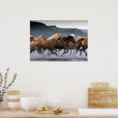 Paardenvorst, Papier poster (Keuken)