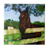 Paardenvriendelijk Tegeltje (Voorkant)