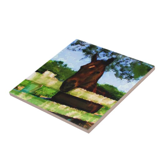 Paardenvriendelijk Tegeltje (Zijkant)