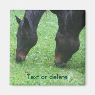Paardenvrienden Grazing Dierlijk Gepersonaliseerd Magneet