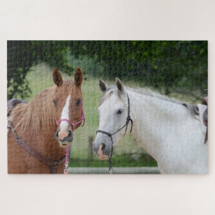 Paardenvrienden Legpuzzel