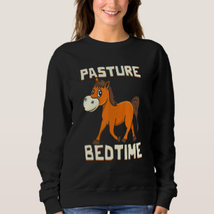 Paardenweide bedtijd trui