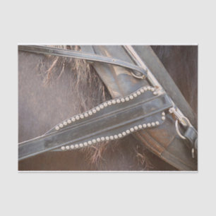 PaardenWesterne bruine roestvrijbuiter Tissuepapier